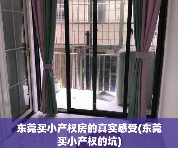 东莞买小产权房的真实感受(东莞买小产权的坑) 东莞买小产权房的真实感受(东莞买小产权的坑)