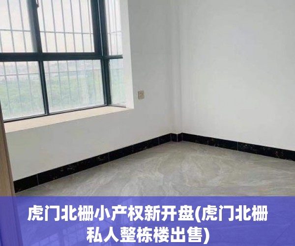 虎门北栅小产权新开盘(虎门北栅私人整栋楼出售)