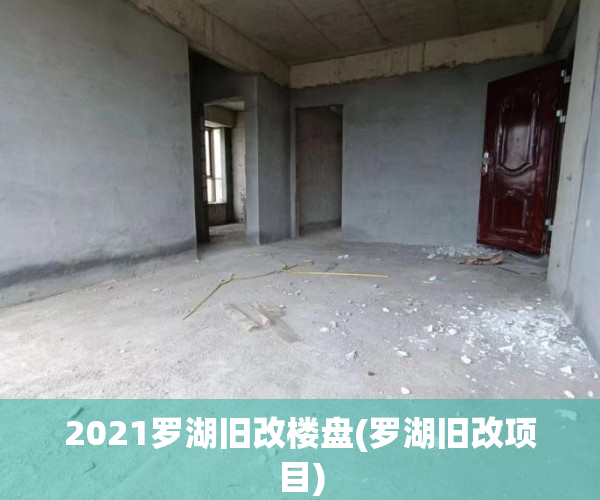 2021罗湖旧改楼盘(罗湖旧改项目)