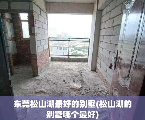 东莞松山湖最好的别墅(松山湖的别墅哪个最好)