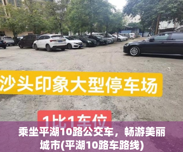 乘坐平湖10路公交车，畅游美丽城市(平湖10路车路线)