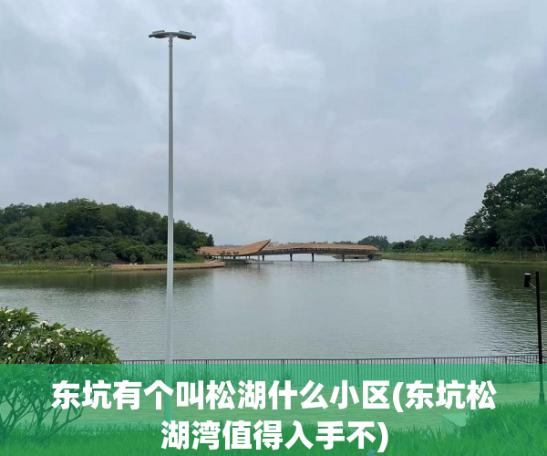 东坑有个叫松湖什么小区(东坑松湖湾值得入手不)