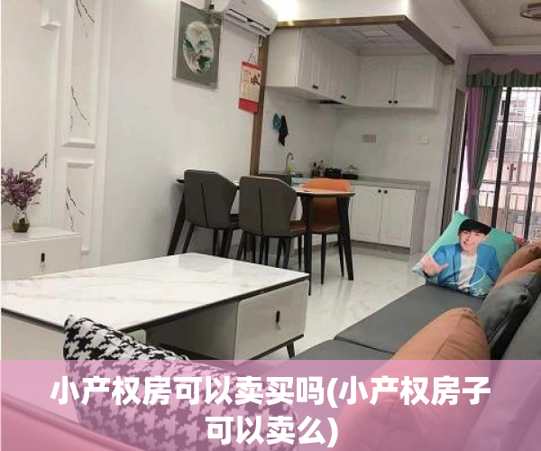 小产权房可以卖买吗(小产权房子可以卖么) 小产权房可以卖买吗(小产权房子可以卖么)