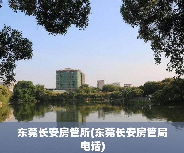 东莞长安房管所(东莞长安房管局电话)