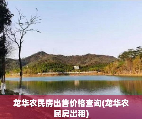 龙华农民房出售价格查询(龙华农民房出租)