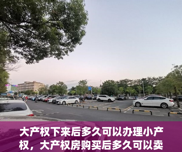 大产权下来后多久可以办理小产权，大产权房购买后多久可以卖(大产权多久能拿到)