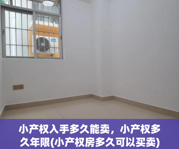 小产权入手多久能卖，小产权多久年限(小产权房多久可以买卖)