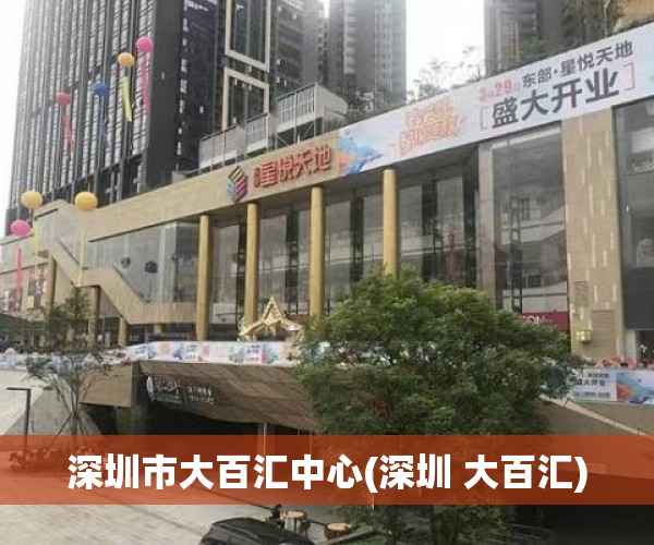 深圳市大百汇中心(深圳 大百汇) 深圳市大百汇中心(深圳 大百汇)
