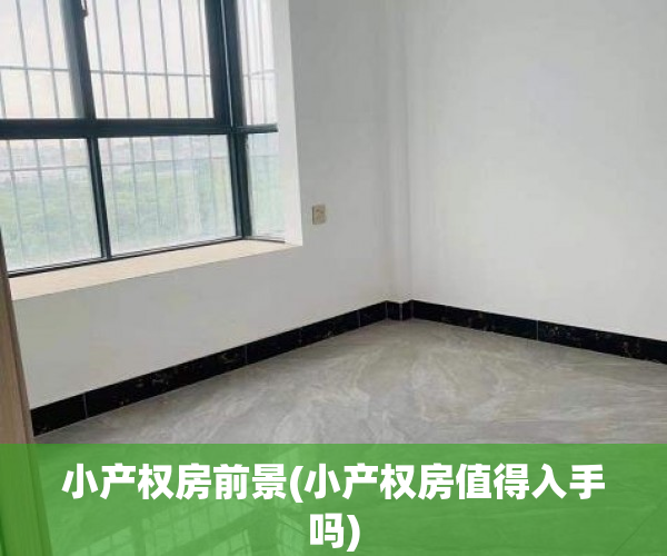 小产权房前景(小产权房值得入手吗)