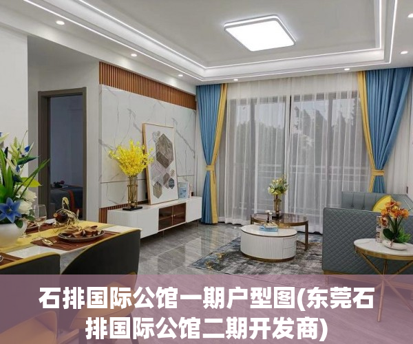 石排国际公馆一期户型图(东莞石排国际公馆二期开发商)