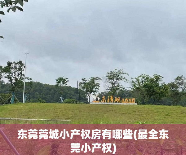 东莞莞城小产权房有哪些(最全东莞小产权) 东莞莞城小产权房有哪些(最全东莞小产权)