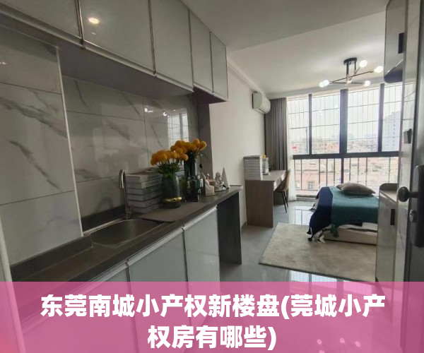东莞南城小产权新楼盘(莞城小产权房有哪些) 东莞南城小产权新楼盘(莞城小产权房有哪些)