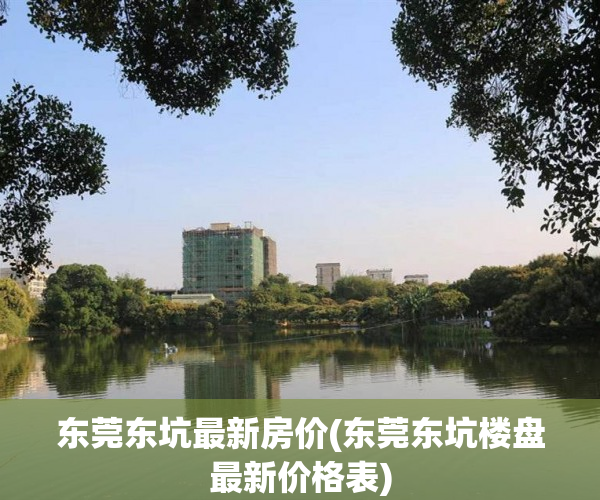 东莞东坑最新房价(东莞东坑楼盘最新价格表) 东莞东坑最新房价(东莞东坑楼盘最新价格表)
