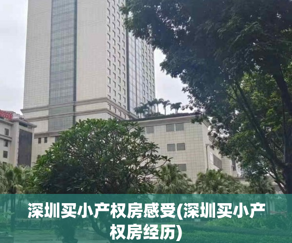 深圳买小产权房感受(深圳买小产权房经历) 深圳买小产权房感受(深圳买小产权房经历)