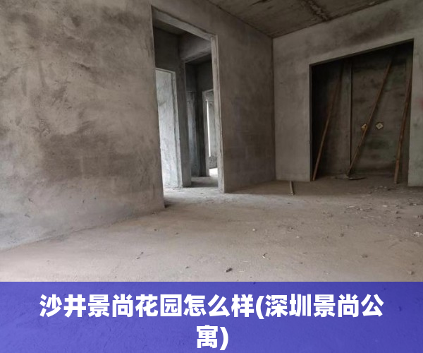 沙井景尚花园怎么样(深圳景尚公寓)