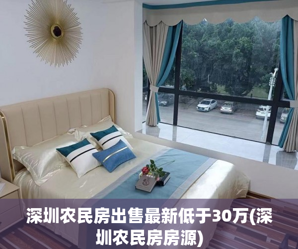 深圳农民房出售最新低于30万(深圳农民房房源)