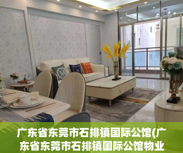 广东省东莞市石排镇国际公馆(广东省东莞市石排镇国际公馆物业电话)