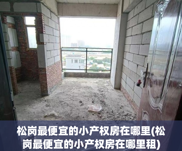 松岗最便宜的小产权房在哪里(松岗最便宜的小产权房在哪里租)