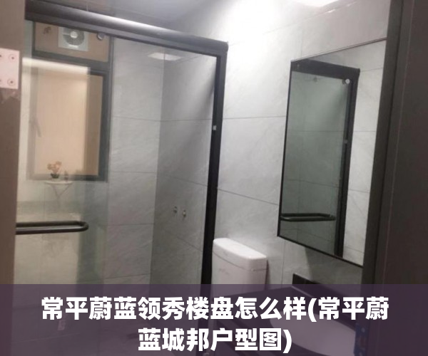 常平蔚蓝领秀楼盘怎么样(常平蔚蓝城邦户型图)