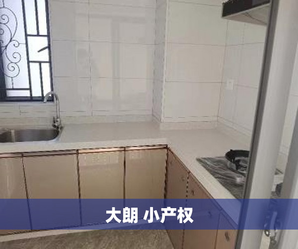大朗 小产权 大朗 小产权