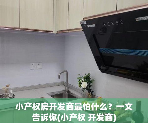 小产权房开发商最怕什么？一文告诉你(小产权 开发商)