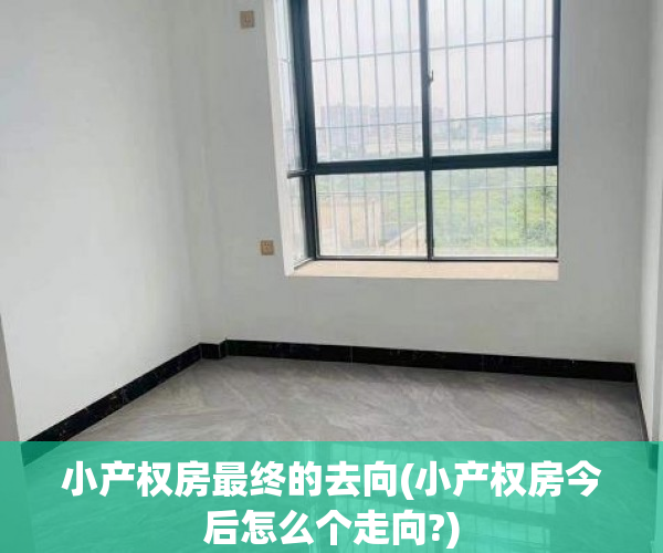 小产权房最终的去向(小产权房今后怎么个走向?)