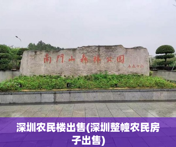 深圳农民楼出售(深圳整幢农民房子出售)