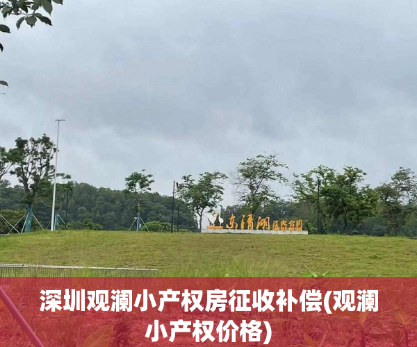 深圳观澜小产权房征收补偿(观澜小产权价格)