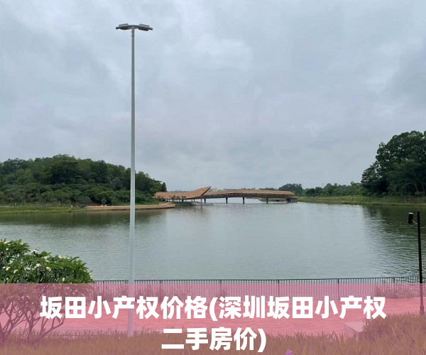 坂田小产权价格(深圳坂田小产权二手房价)