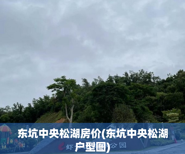 东坑中央松湖房价(东坑中央松湖户型图) 东坑中央松湖房价(东坑中央松湖户型图)
