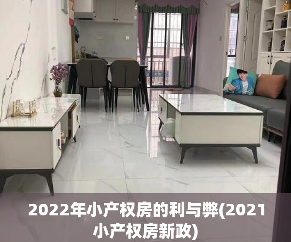 2022年小产权房的利与弊(2021小产权房新政)