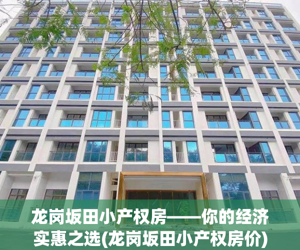 龙岗坂田小产权房——你的经济实惠之选(龙岗坂田小产权房价)