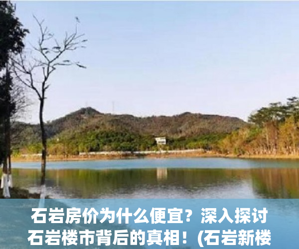 石岩房价为什么便宜？深入探讨石岩楼市背后的真相！(石岩新楼盘价格)