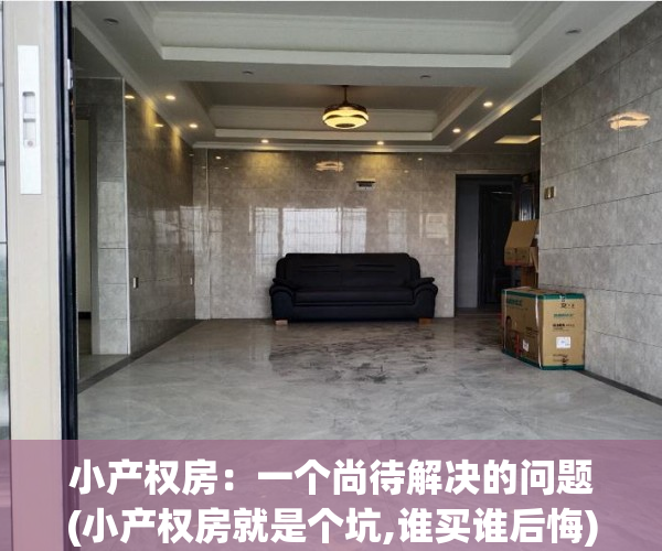 小产权房：一个尚待解决的问题(小产权房就是个坑,谁买谁后悔)