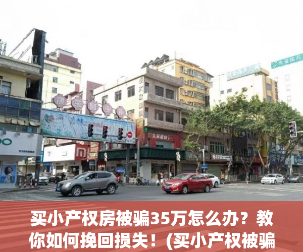 买小产权房被骗35万怎么办？教你如何挽回损失！(买小产权被骗能立案吗)