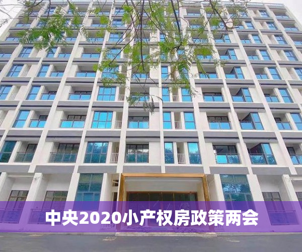 中央2020小产权房政策两会 中央2020小产权房政策两会