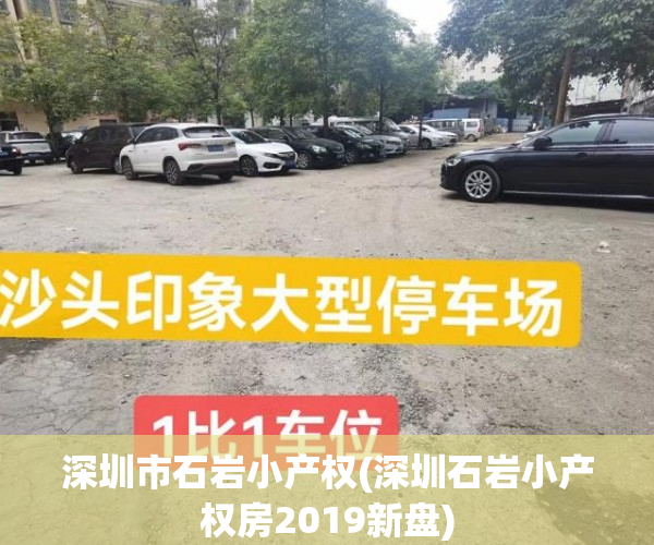 深圳市石岩小产权(深圳石岩小产权房2019新盘)