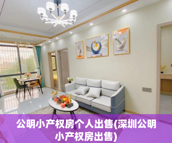 公明小产权房个人出售(深圳公明小产权房出售)