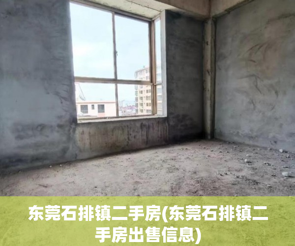 东莞石排镇二手房(东莞石排镇二手房出售信息) 东莞石排镇二手房(东莞石排镇二手房出售信息)