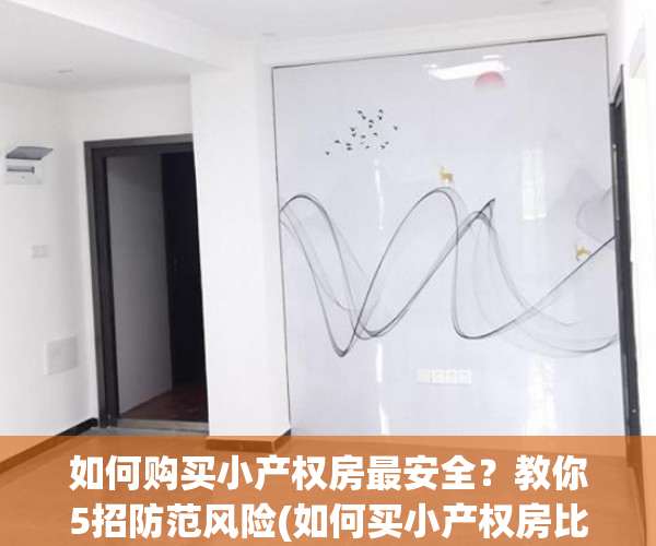 如何购买小产权房最安全？教你5招防范风险(如何买小产权房比较安全)