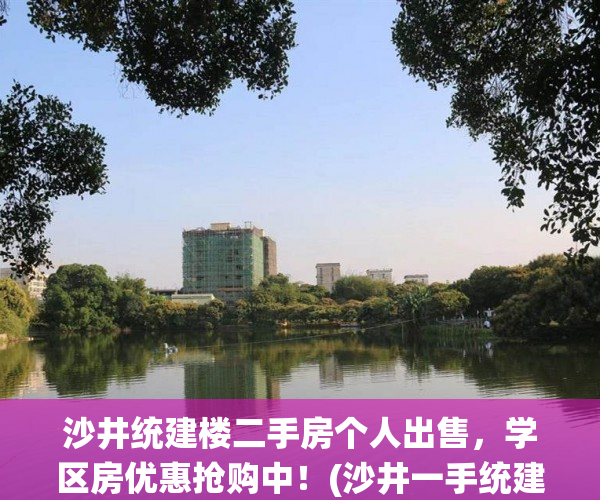 沙井统建楼二手房个人出售，学区房优惠抢购中！(沙井一手统建房出售)
