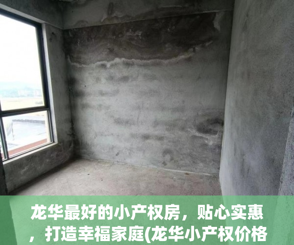 龙华最好的小产权房，贴心实惠，打造幸福家庭(龙华小产权价格)
