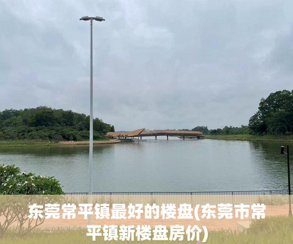 东莞常平镇最好的楼盘(东莞市常平镇新楼盘房价)