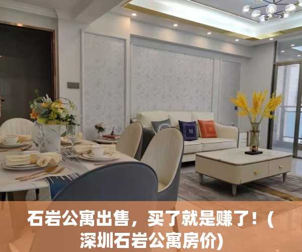 石岩公寓出售，买了就是赚了！(深圳石岩公寓房价)