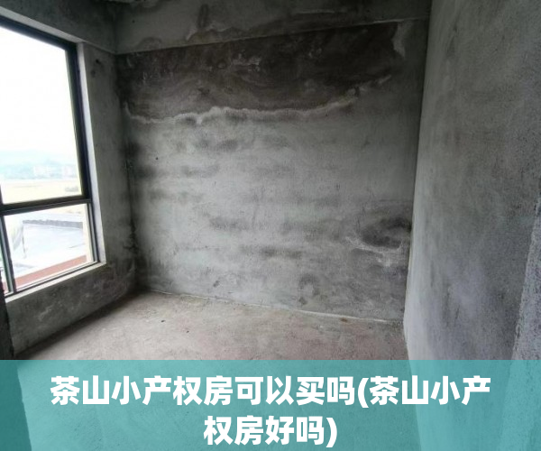 茶山小产权房可以买吗(茶山小产权房好吗) 茶山小产权房可以买吗(茶山小产权房好吗)