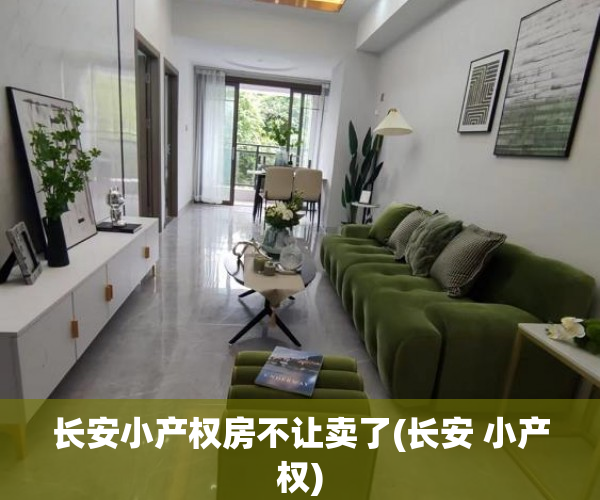 长安小产权房不让卖了(长安 小产权) 长安小产权房不让卖了(长安 小产权)