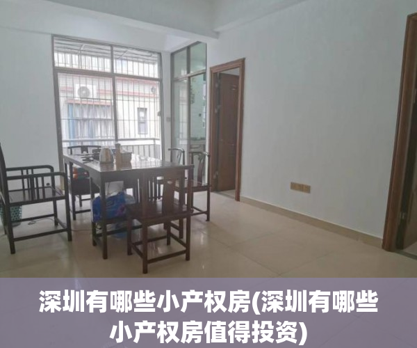 深圳有哪些小产权房(深圳有哪些小产权房值得投资)