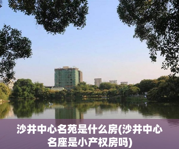 沙井中心名苑是什么房(沙井中心名座是小产权房吗)