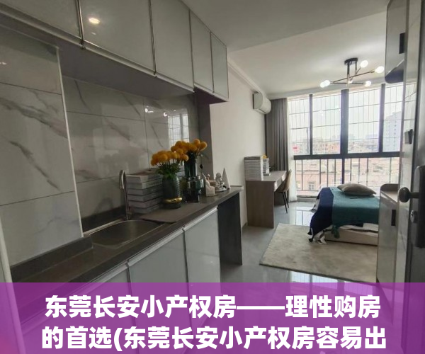 东莞长安小产权房——理性购房的首选(东莞长安小产权房容易出手吗)