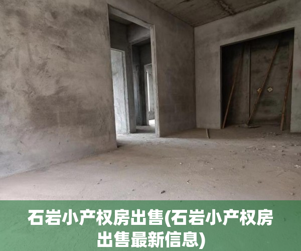 石岩小产权房出售(石岩小产权房出售最新信息)